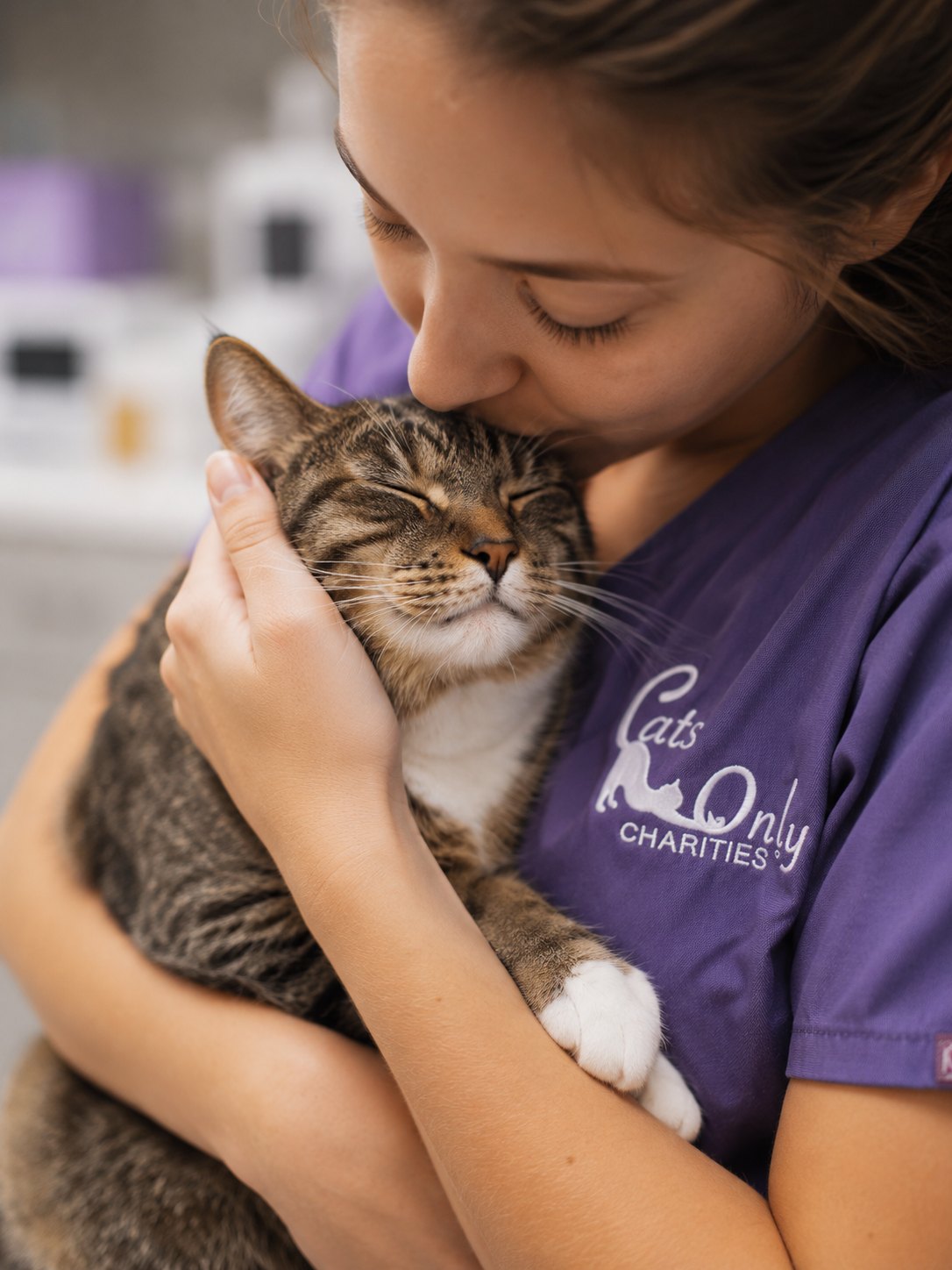 A cat being gently held and comforted by a caregiver